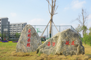 校园一角
